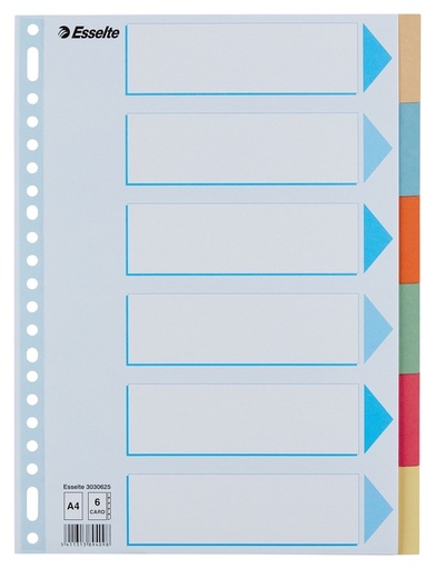 [270276] Intercalaire Esselte Premium A4 6 onglets 23 perf carton assorti