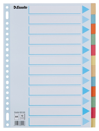 [270279] Intercalaire Esselte Premium A4 12 onglets 23 perf carton assorti