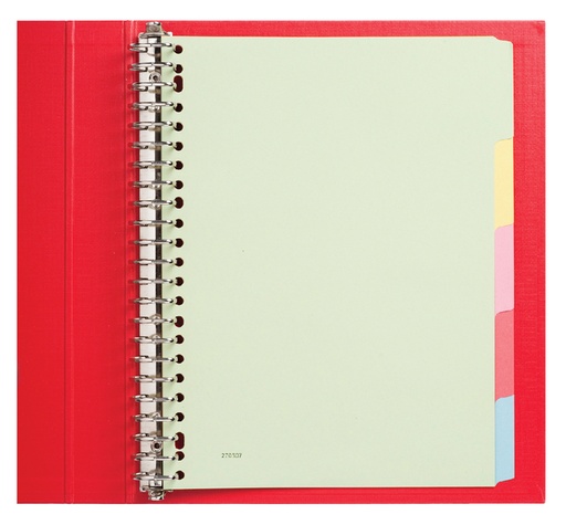 [270507] Intercalaire Qbasic 23 perforations 5 onglets carton assorti