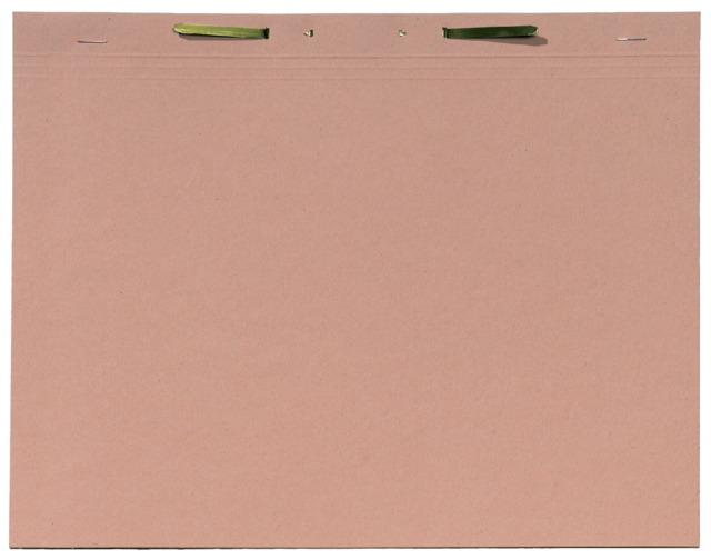 Dossiermap Jalema folio met snelhechter 300gr chamois