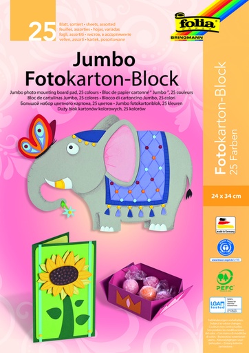 [141669] Carton photo Folia 2 faces 24x35cm 300g assorti 25 feuilles