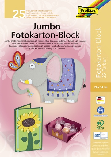[141669] Fotokartonblok Folia 300gr 24x34cm 25vel jumbo assorti