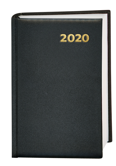 Agenda 2024-2025 Ryam Efficiency Baladek 18 mois A5 1jour/1 page noir(NL)