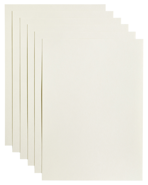 Papier copieur Papicolor A4 100g 12 feuilles blanc