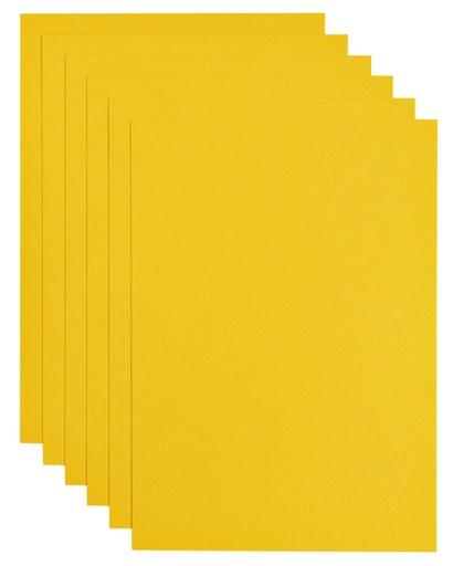 [746307] Kopieerpapier Papicolor A4 200gr 6 vel dottergeel