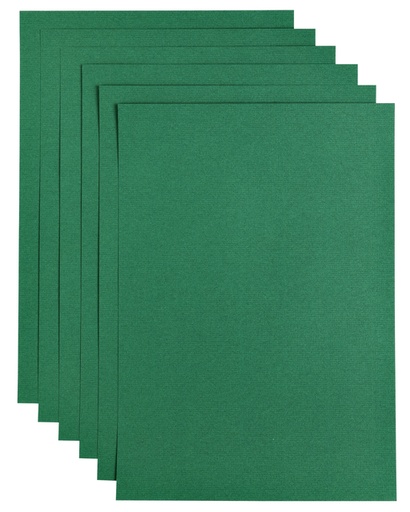 [746315] Kopieerpapier Papicolor A4 200gr 6 vel dennengroen