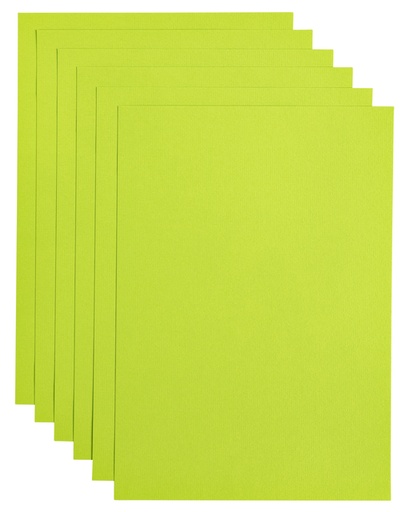 [746318] Papier copieur Papicolor A4 200g vert pomme 6 feuilles