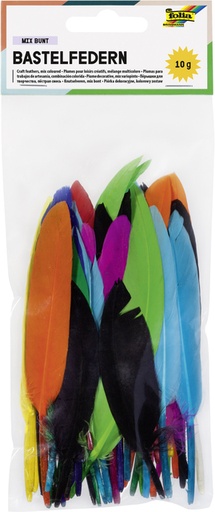 [580054] Indianen veren Folia assorti