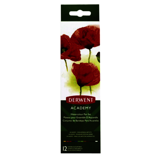 Peinture acrylique Derwent 12 couleurs assorti