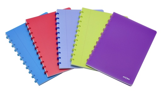 [1386907] Schrift Atoma A4 ruit 4x8mm 144blz 90gr PP transparant assorti