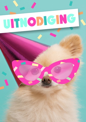 [1404498] Carte d'invitation Chien avec lunettes 5 pièces (NL)