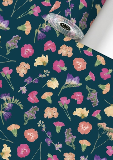 [1436955] Rouleau pour appareil Stewo Mailo 150mx50cm