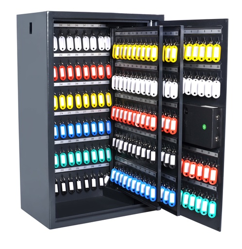 [1436389] Armoire à clés Pavo High Security Advanced 300 crochets 650x410x250mm