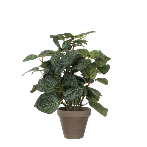 [1433008] Plante artificielle Mica Piléa Pot plastique Ø11,5cm 35x25cm