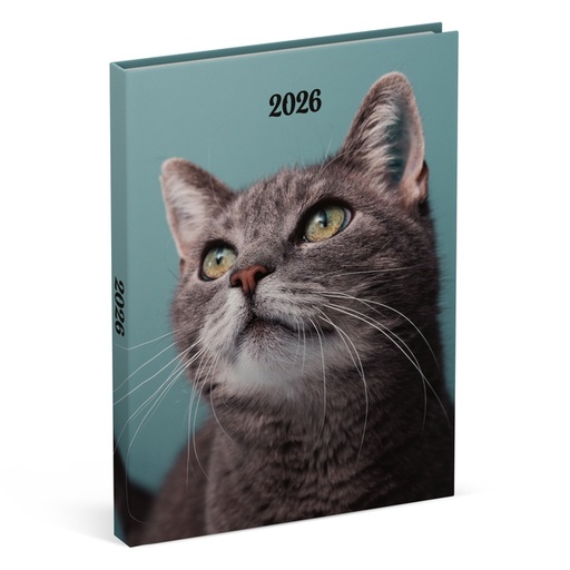 [1436920] Agenda 2026 Lannoo 110x150 My favourite friends 7dagen/2pagina's cats