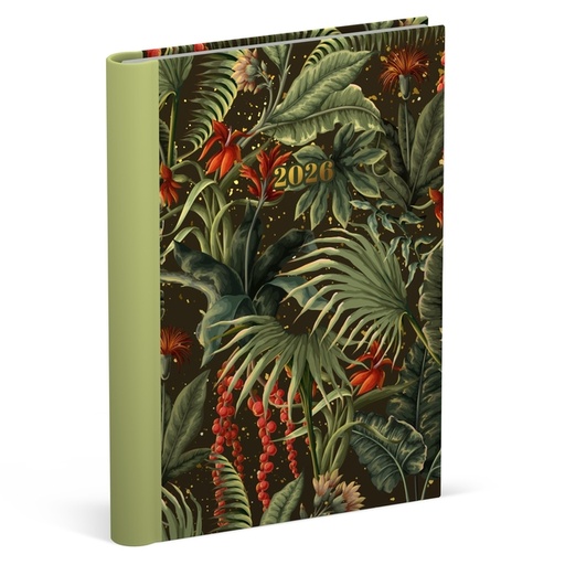 [1436922] Agenda 2026 Lannoo 120x160 Botanic 7 jours/2 pages noir vert