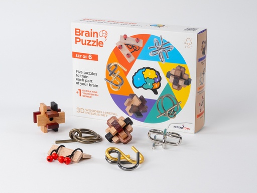 [1431130] Brain Puzzles - set of 6