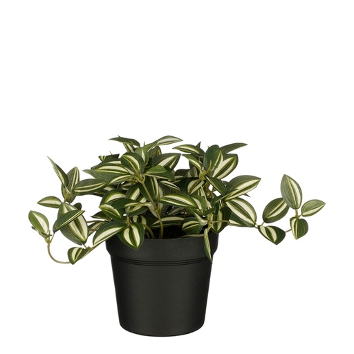 [1439294] Plante artificielle Mica Tradescantia pot vert 16x16cm