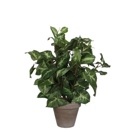 [1439301] Plante artificielle Mica Syngonium verte en pot Ø25cm 35cm