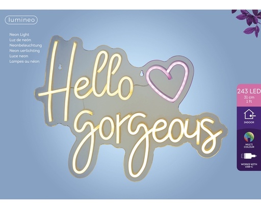 [1466242] Ledbord Lumineo indoor USB neon Hello Gorgeous