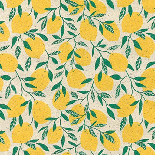 [1467777] Rouleau pour appareil Little lemon 50cmx200m