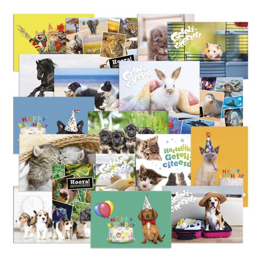 [1469453] Carte-poster de récompense De Stulp thème animaux A4 assorti