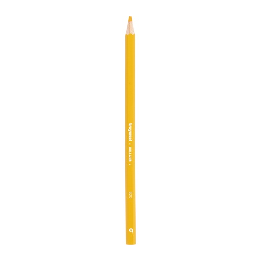 [1466090] Crayon de couleur Bruynzeel Super 920 jaune