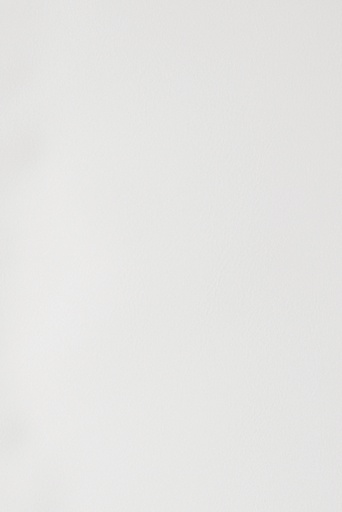 [535981] Couverture GBC A4 Polycover 300 microns blanc 100 pièces