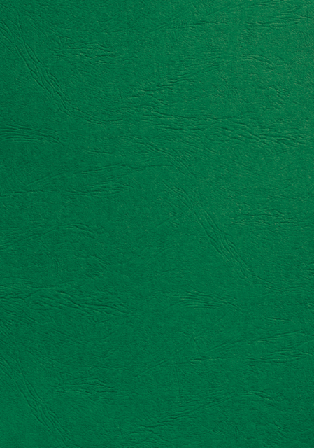 Couverture GBC A4 similicuir groen 100 pièces
