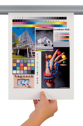 [512848] Rail mural Djois Jalema Grip 340mm avec fixation magnétique gris