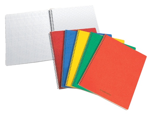 [011129] Schrift Aurora 75x110mm ruit 5x5mm 160 pagina's 60gr assorti